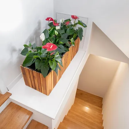 Palazzo Maineri Luxury Loft *