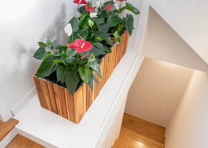 Palazzo Maineri Luxury Loft *