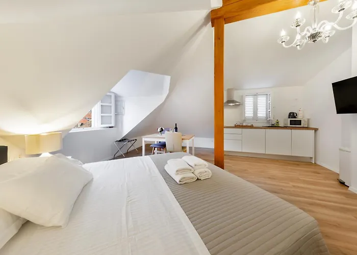 Lejlighed Palazzo Maineri Luxury Loft *