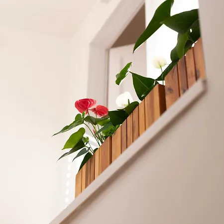 Palazzo Maineri Luxury Loft *